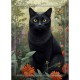 DUTCH LADY DESIGNS GREETING CARD Cats 7